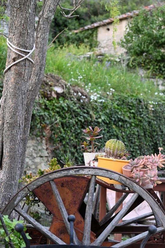 Agriturismo Casamatta Azienda Agricola Calenzano Exterior foto