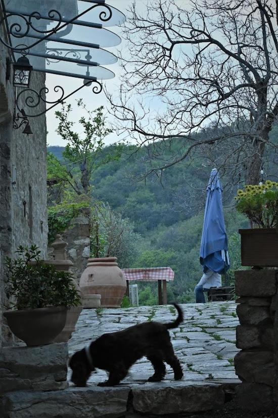 Agriturismo Casamatta Azienda Agricola Calenzano Exterior foto